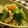 cuicuimo's cooksnap of when they made 白だしを使ってささっと　小松菜のおひたし.