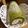 pegupepepe's cooksnap of when they made 抹茶とあずきのロールケーキ.