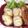 ケロケロ蛙's cooksnap of when they made ささみのチーズフライ.