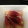 き～ま's cooksnap of when they made ミョウガの甘酢漬け.