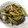 norikke's cooksnap of when they made ナスとししとうのおかか煮込み.