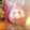 きょゆず♡'s cooksnap of when they made こびとづかんのぶさかわキャラ弁♪.