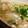 shinyui's cooksnap of when they made あったかいおかず♪カブのとろとろ煮.