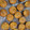 黒よっしー's cooksnap of when they made たくさんの林檎が美味しいアップルマフィン.