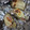 クック54V1EA☆'s cooksnap of when they made 牡蠣のうつわで牡蠣グラタン〜♪.