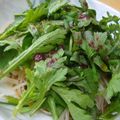 おんかめ's cooksnap of when they made 梅味でさっぱり！冷やしそば.