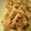 青空の月さま's cooksnap of when they made さき竹の子のおろし煮.