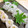 ちわここ's cooksnap of when they made しらすの押し寿司　山椒風味.