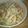 ぴーの助's cooksnap of when they made ペンネのサラダパスタ♥.