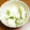 四つ葉とてんとうむし's cooksnap of when they made きゅうりとカブの浅漬け.
