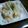 *りまりま*'s cooksnap of when they made しゃきしゃきタラモサラダ.