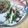 まっきー♪３７'s cooksnap of when they made 子供が喜ぶ タコのマヨポンサラダ 簡単.