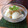 ペーパー谷's cooksnap of when they made とろりんෆ✿(๑ʾڡʿ๑)甘酒アイス❤.