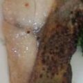 おはまいMai's cooksnap of when they made 簡単みそ床deおいしいみそ漬け.