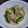 ほあちん's cooksnap of when they made ゴーヤー玉葱鶏もも肉の塩胡椒炒め.