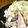kecomo's cooksnap of when they made タジン鍋で！中華風タラちゃん.