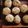 muguet1's cooksnap of when they made いかなごのくぎ煮で炊き込みご飯.