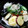 ももちゃのいえ's cooksnap of when they made 簡単すぎでゴメン♪夏野菜の素揚げうどん.