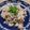 LOVEのこ's cooksnap of when they made 炒めるだけ～☆椎茸好きの〝きのこピラフ〟.