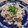 LOVEのこ's cooksnap of when they made 炒めるだけ～☆椎茸好きの〝きのこピラフ〟.