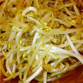 トモママ0319's cooksnap of when they made 夏の時短レシピ☆10分完成！豚もやし炒め.