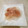 のんsummer's cooksnap of when they made 新玉ねぎと生ハムのマリネ.