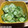 オオノさん's cooksnap of when they made きゅうりの梅こぶ茶和え.