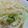 Rミルフィーユ's cooksnap of when they made 春キャベツとたけのこのアンチョビパスタ.