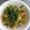 ビルメリー's cooksnap of when they made イカ・きゅうり・パプリカのあっさり塩炒め.