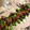 ryoko5's cooksnap of when they made ✿ししとうのみそマヨ焼✿.