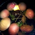 fru1126's cooksnap of when they made タマネギのホッとけば出来る丸ごとスープ！.