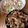 ayaka719's cooksnap of when they made 超簡単こってり豚丼.