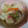 もなmom's cooksnap of when they made ★家にあるもので★ちゃんぽん風野菜炒め.
