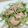 mikiha5's cooksnap of when they made 水菜のにんにく炒め.