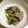 たいちまん's cooksnap of when they made 塩だけでシンプルに！豚肉の大葉焼.