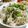 terakooo's cooksnap of when they made ブロッコリーのふわとろあんかけ.