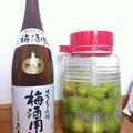 ★ぁぢゅ★'s cooksnap of when they made 焼酎にこだわった梅酒.
