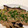 mameasuka's cooksnap of when they made ふろふき大根となすのそぼろあん.
