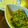 しろしろ1111's cooksnap of when they made ワインにピッタリ！アボとろデイップ。.