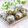 Satoco❋'s cooksnap of when they made ツルッと取りやすい！茹でさざえ♬.