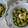 Cookingmam's cooksnap of when they made 定番えだ豆の食べ方.