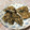 タマリュウ's cooksnap of when they made 紫蘇ウメ～！ささみのゴマ揚げ.