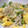 こちゃ331's cooksnap of when they made 我が家の中華✿えのきと卵の炒め.