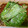 himekoo's cooksnap of when they made えごまの葉のしょう油漬.