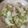 ななこぷりん's cooksnap of when they made 簡単！鶏の野菜塩麹炒め.
