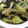なすときゅうり's cooksnap of when they made ナスとズッキーニの揚げ浸し.