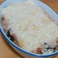 ☆ぷにちゃん☆'s cooksnap of when they made ナスのミートソースグラタン ズボラ版.