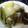 maruru-nn's cooksnap of when they made 昆布巻きソーセージのポトフ.