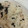 いちあさみっきー's cooksnap of when they made 鮭のちらし寿司弁当.