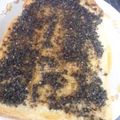 ユーロン's cooksnap of when they made 香ばしい✿ハニーセサミトースト.